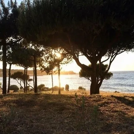 House Prunicce Lumio (Corsica)